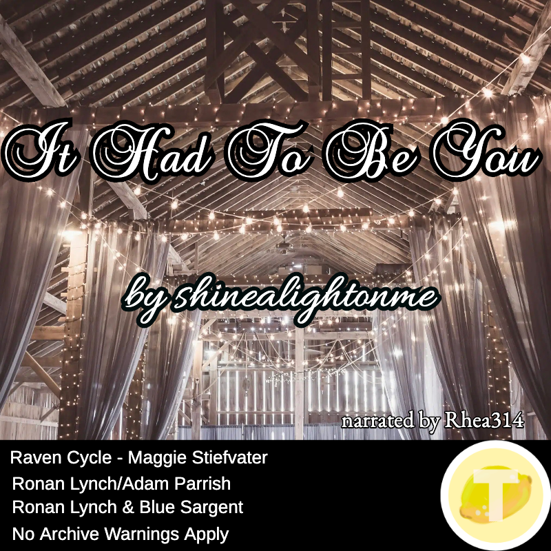 image of a barn ceiling draped with twinkle lights over which is printed the title, author, and narrator, beneath which is a black bar with metadata maching AO3